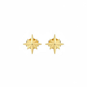 18K Gold Earrings with Daily Star Design
