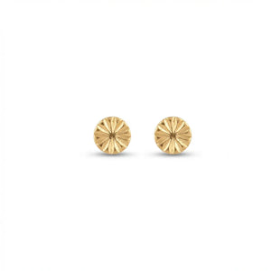 18K Gold Earrings with Classic Design